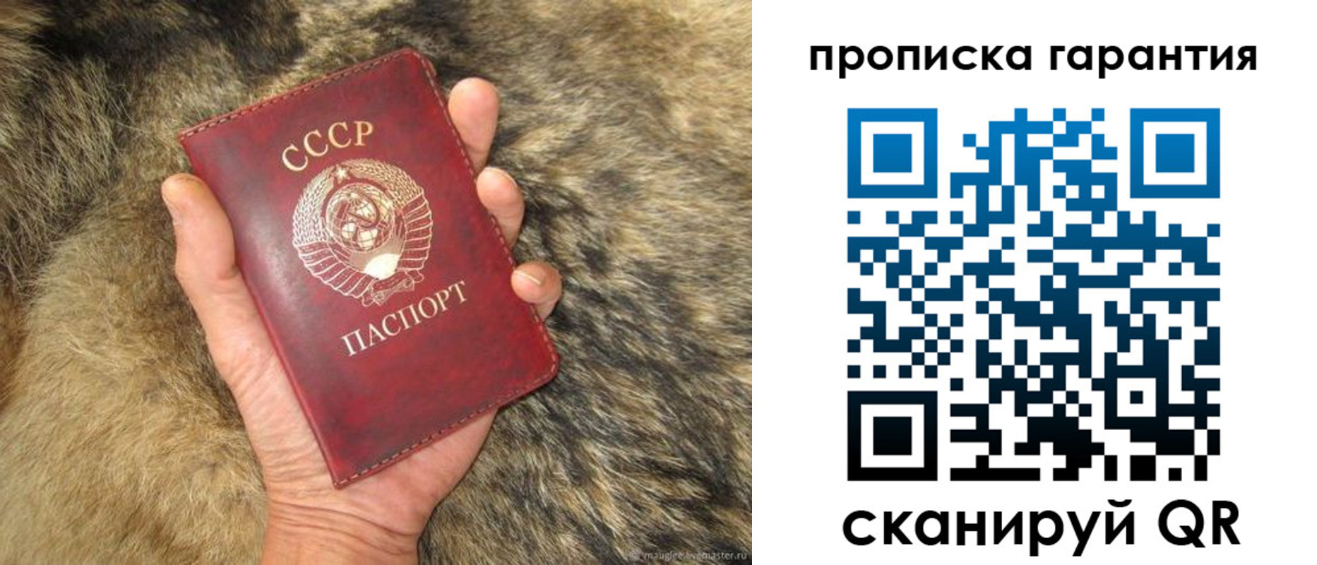 временная регистрация гарантия в Вытегре